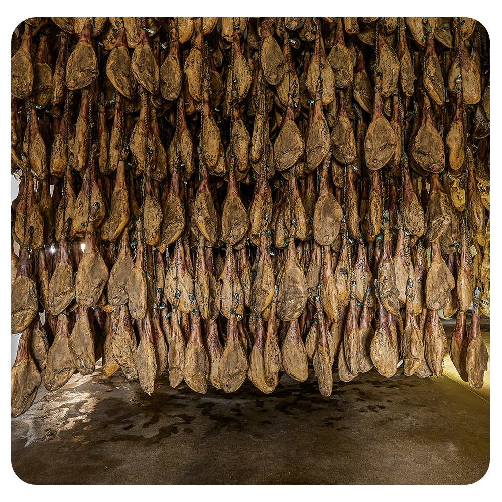 Quienes Somos Eurojam n Eurojam n